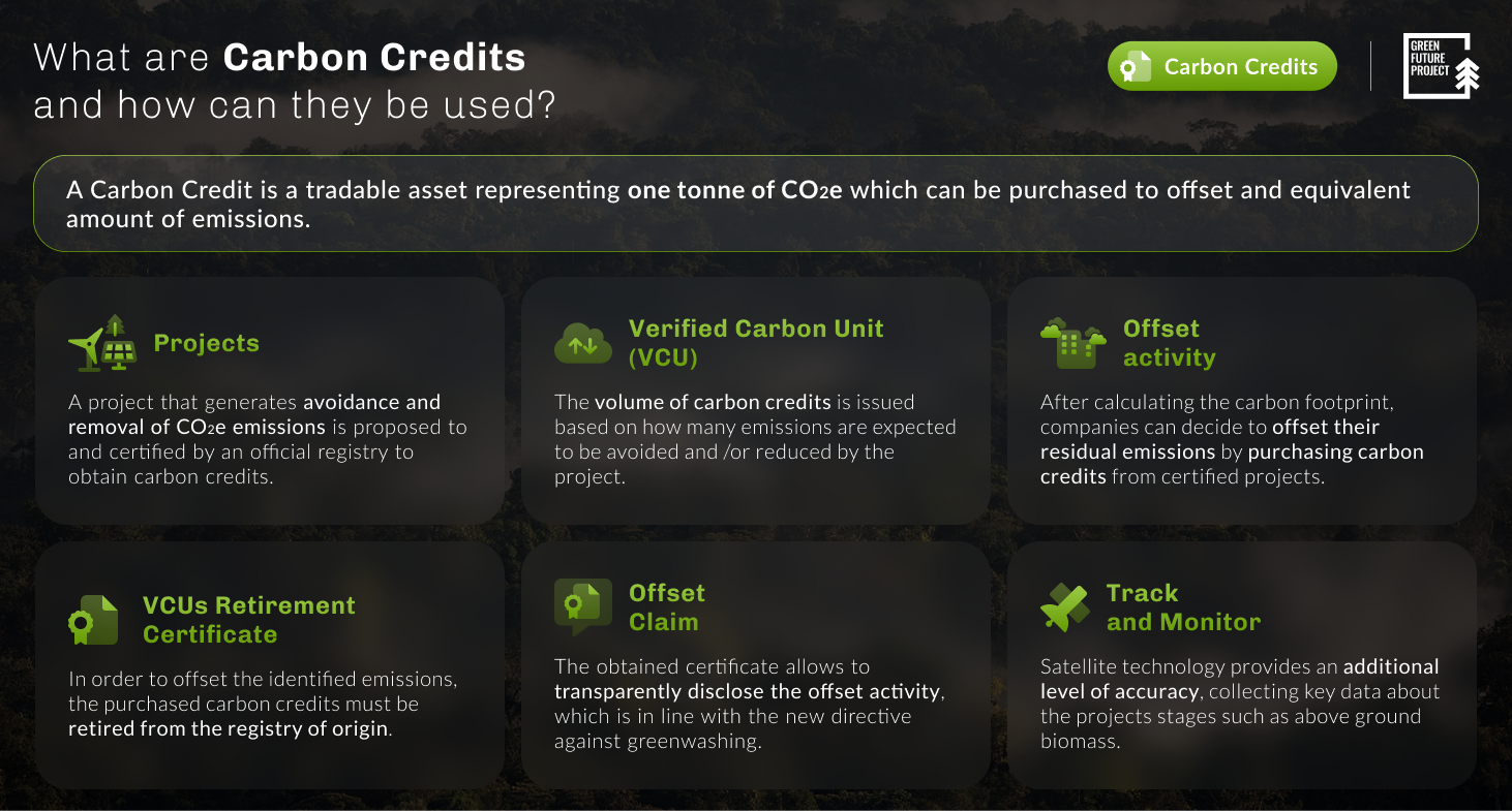 What_are_Carbon_Credits