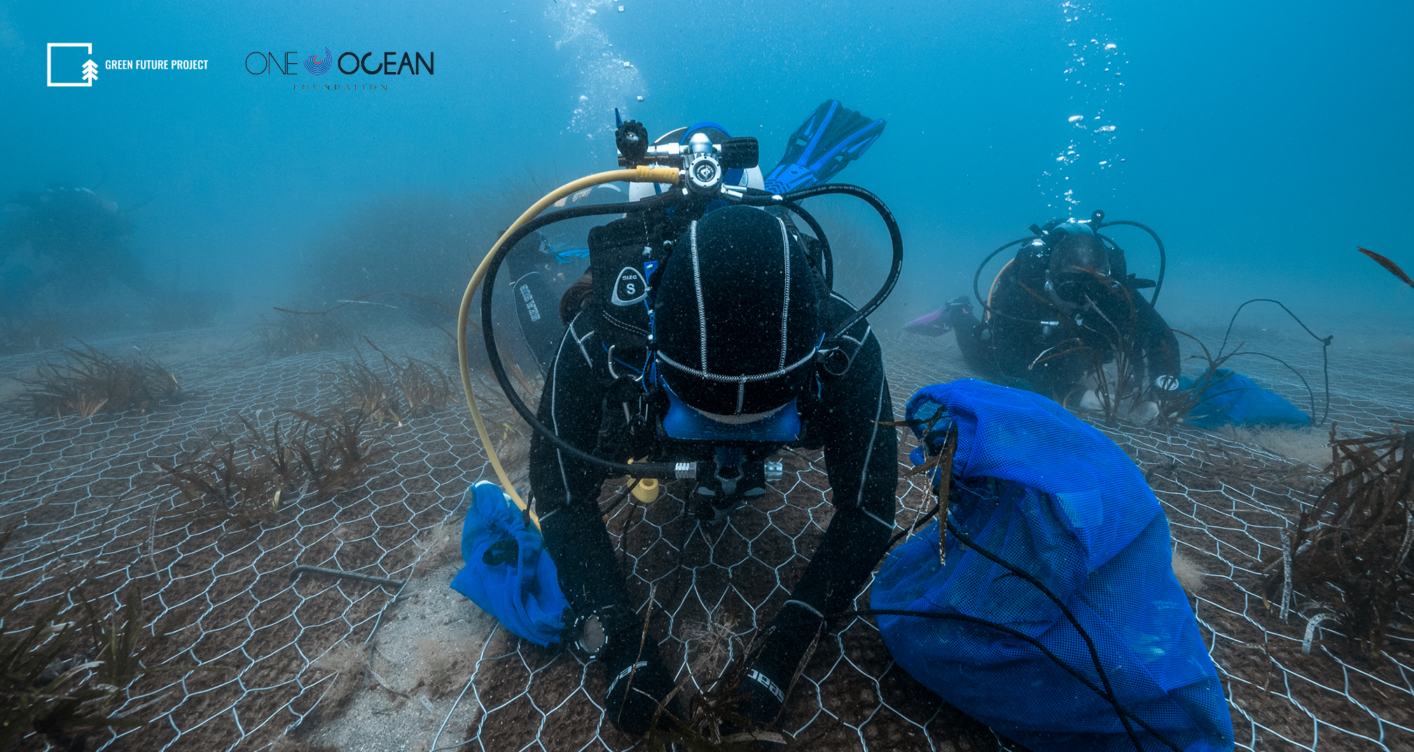 Blue carbon - progetto sostenibilità ambinetale - posidonia oceanica liguria - green future project