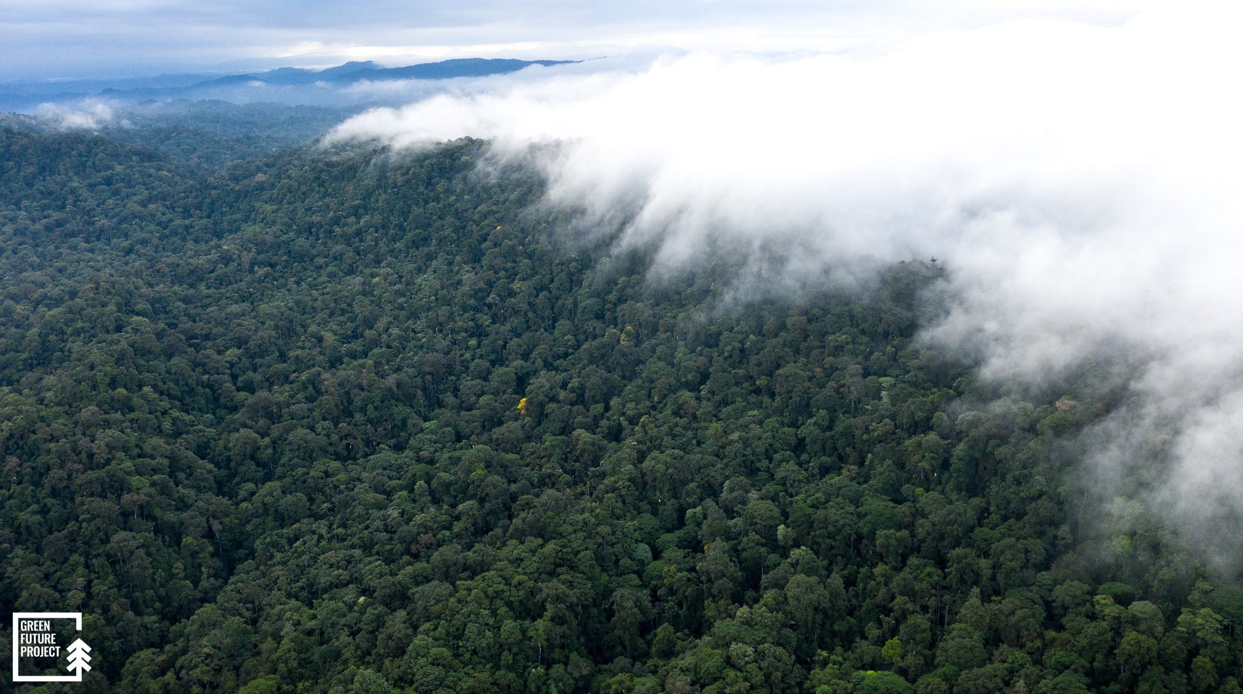 Canandé Reserve, Ecuador (1)-1