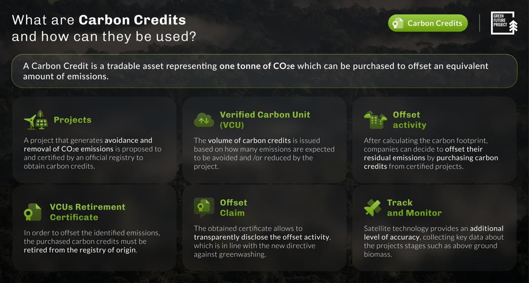 Carbon Credits Infographic-1