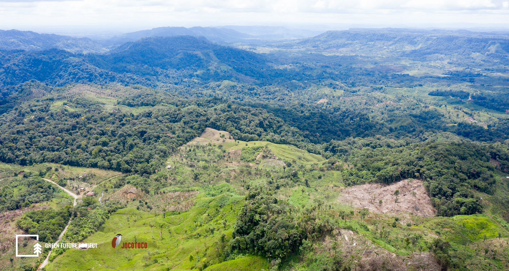 Conservazione ecosistemi - progetto sostenibilità ambinetale - Ecuador riserva Canandé - green future project
