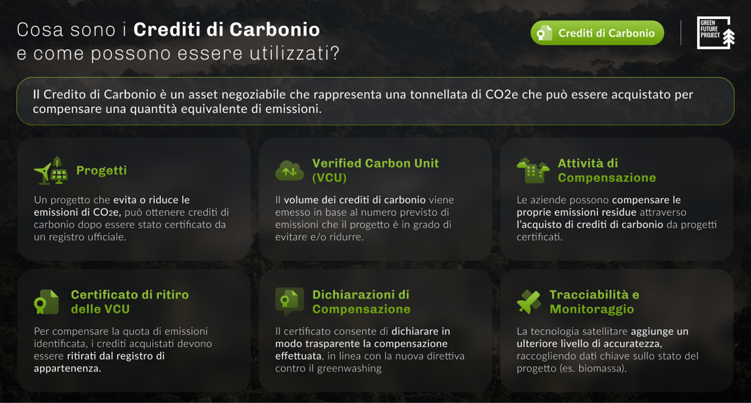 Crediti di carbonio infografica