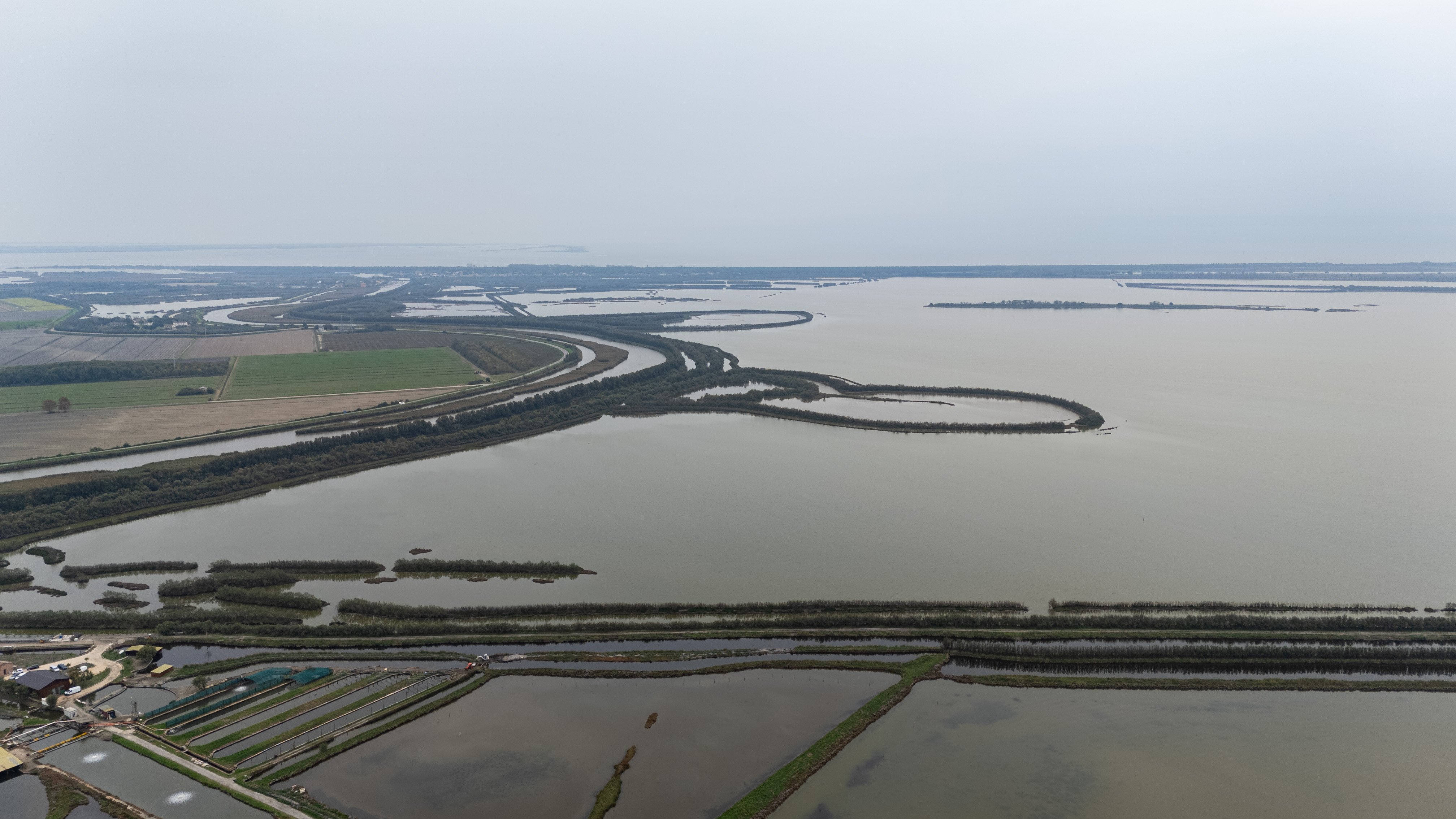 Zona umida Valle Bertuzzi, in Italia, progetto di vallicoltura estensiva di Green Future Project