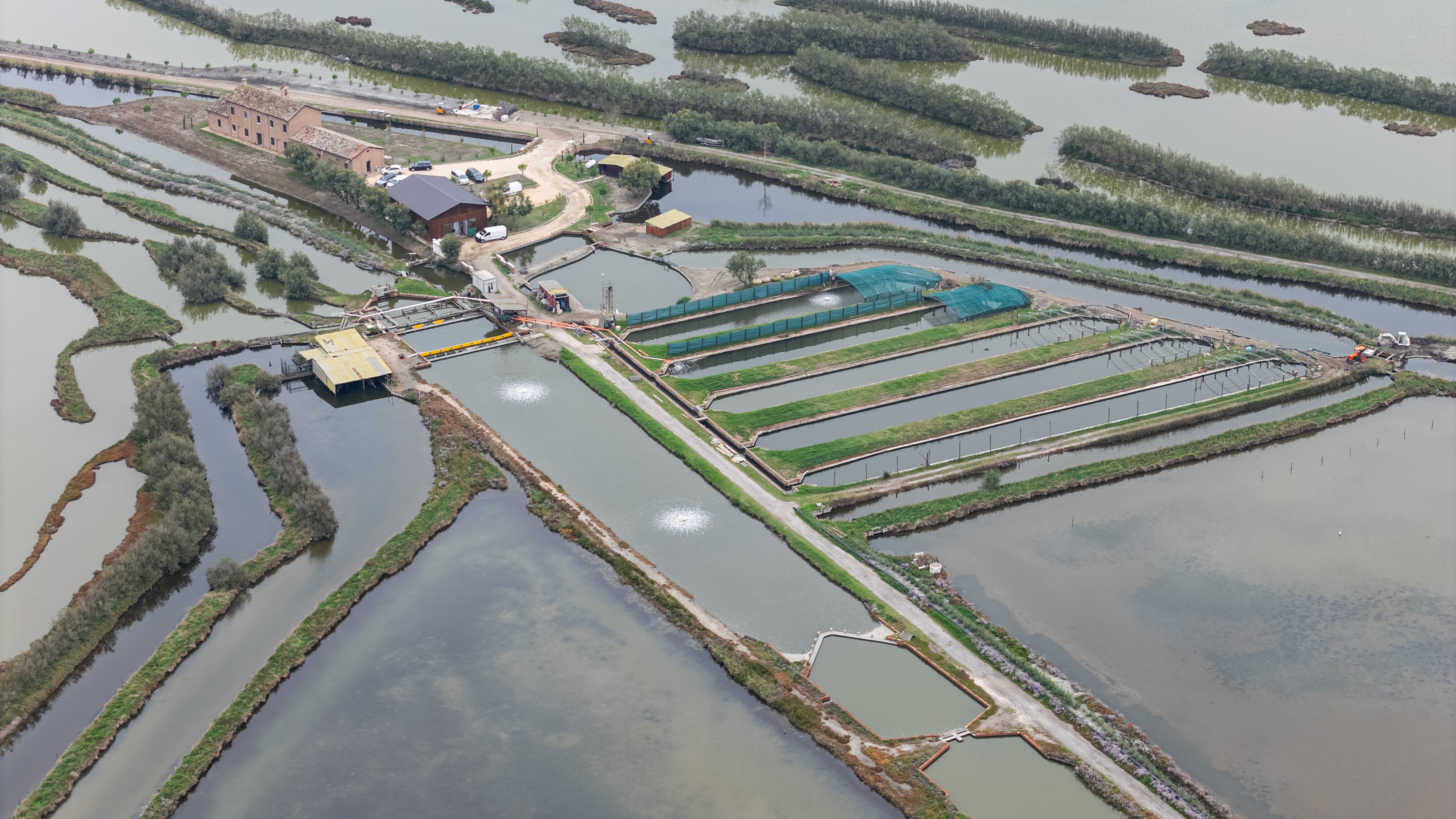 Zona umida Valle Bertuzzi, progetto di vallicoltura estensiva in Italia realizzato da Green Future Project