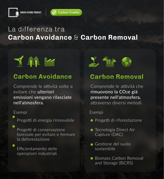 Differenza tra Carbon Avoidance e Removal - Infografica realizzata da Green Future Project.