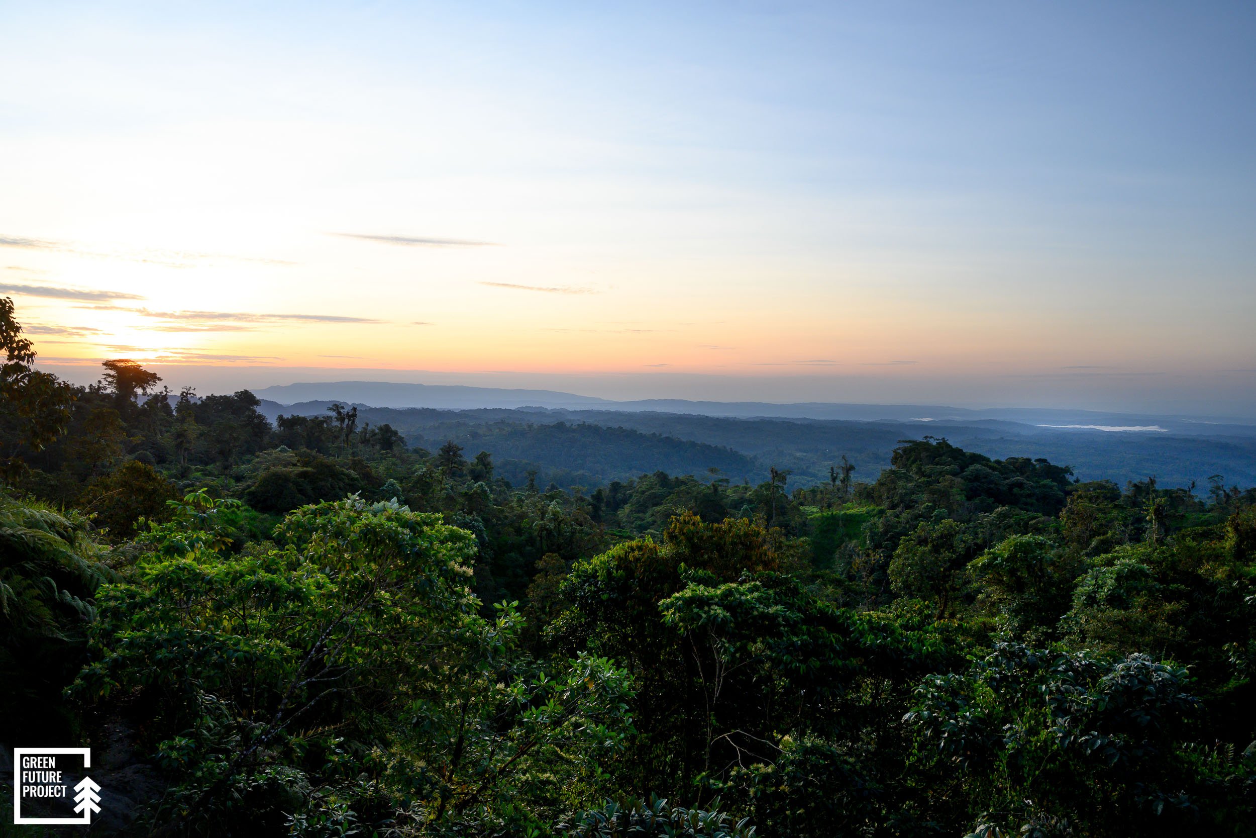 Narupa Reserve, Ecuador