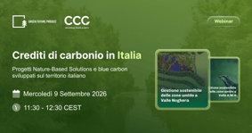 Webinar crediti di carbonio i Italia-3