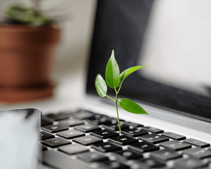 Digital sustainability, how to reduce your online carbon footprint - By Green Future Project