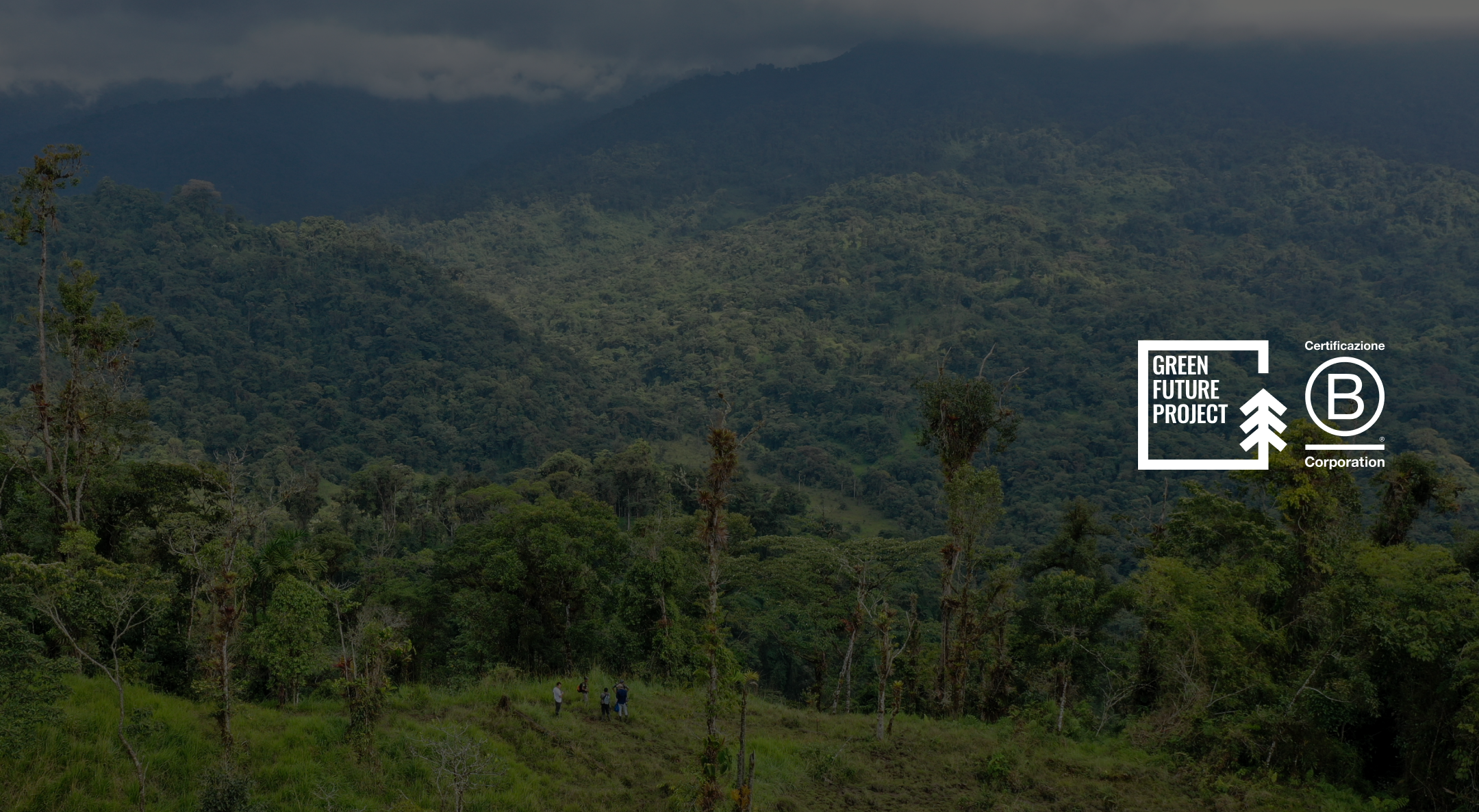 Image B Corp Impact Assessment (BIA) - Green Future Project - What is the BIA?