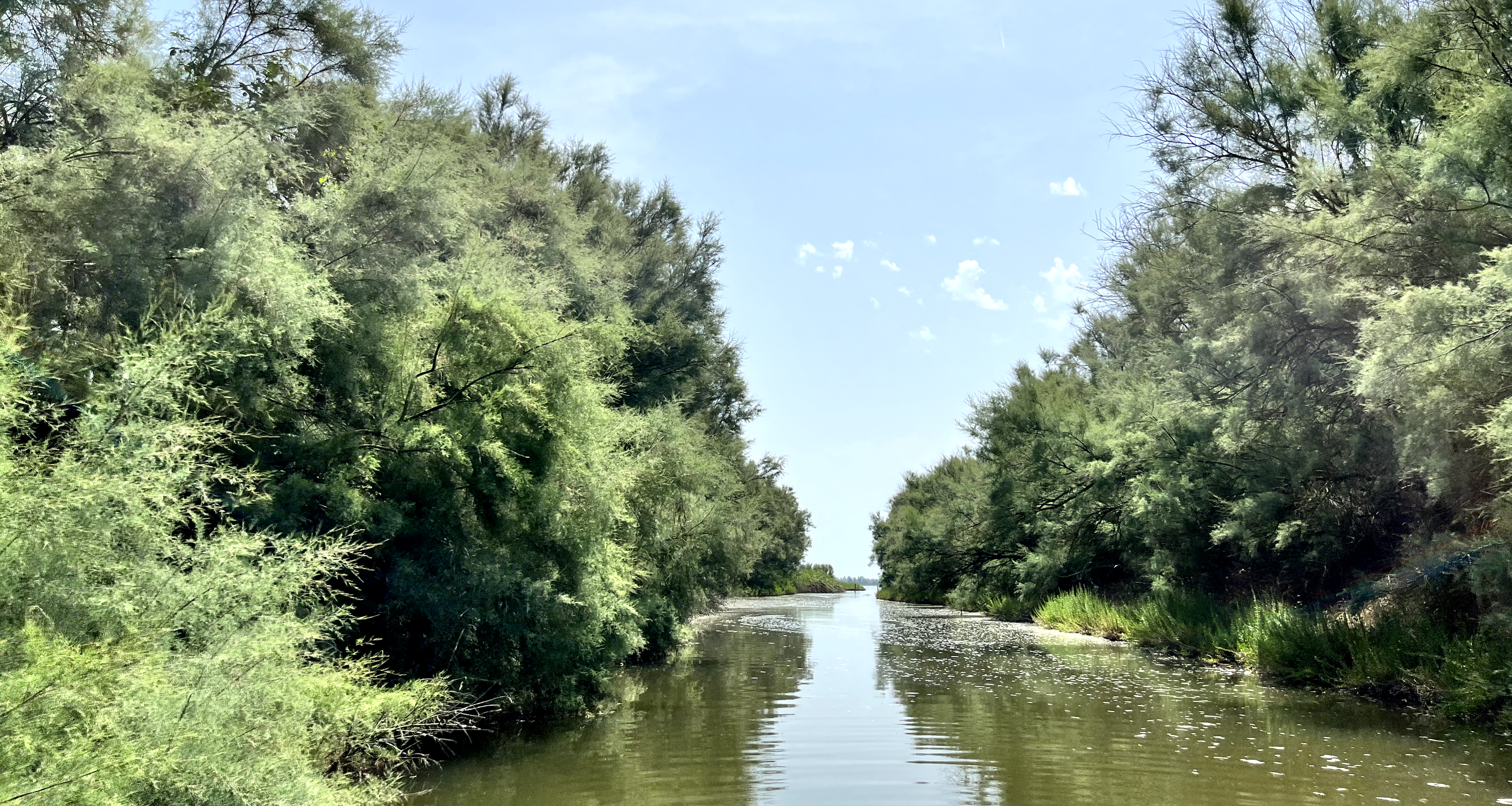 Photo of Valle Bertuzzi, Italian wetland - extensive fish farming - Green Future Project