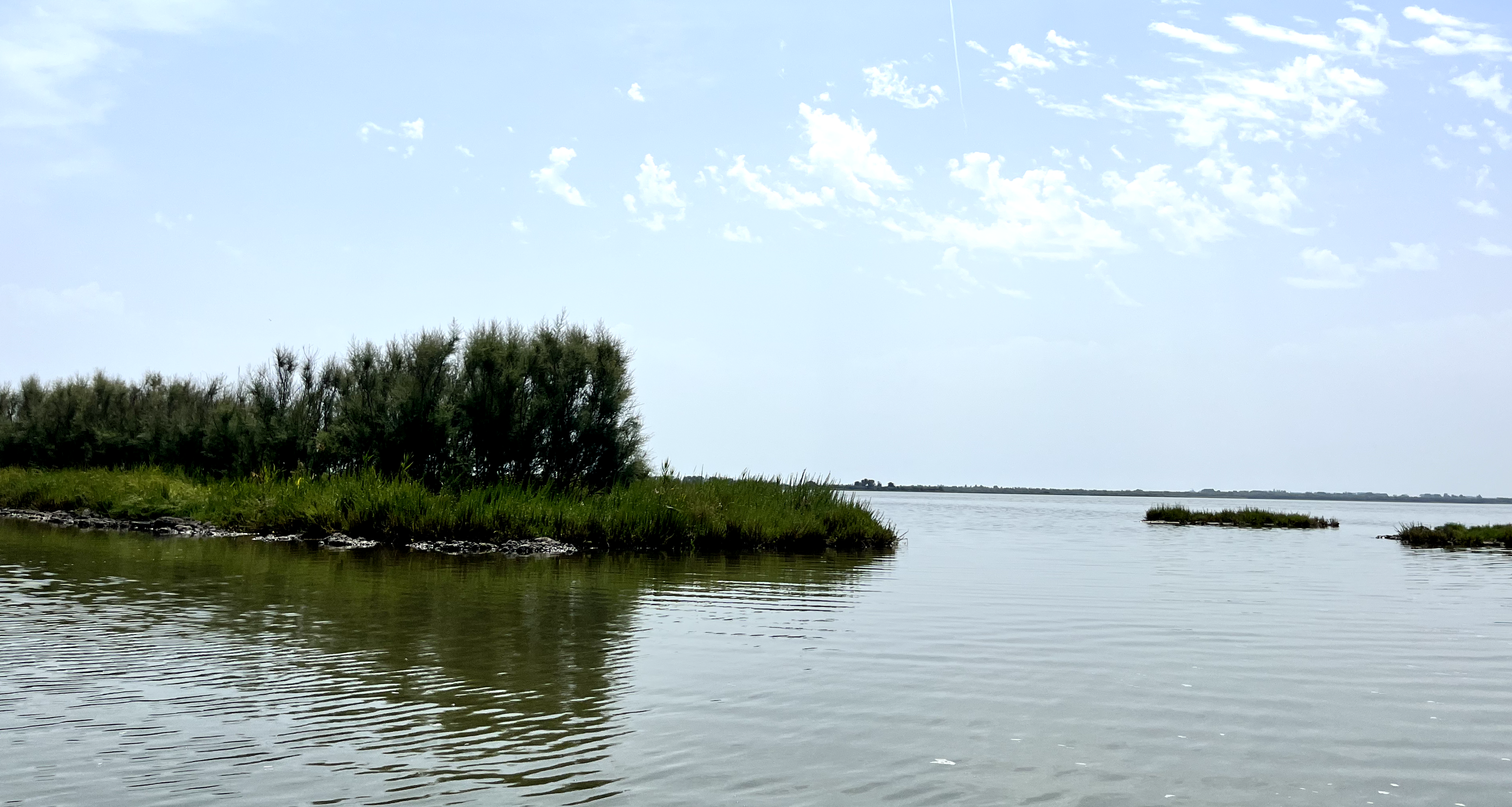 Valle Bertuzzi Wetland - Green Future Project