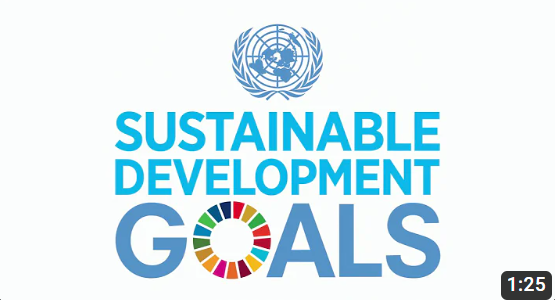 SDG