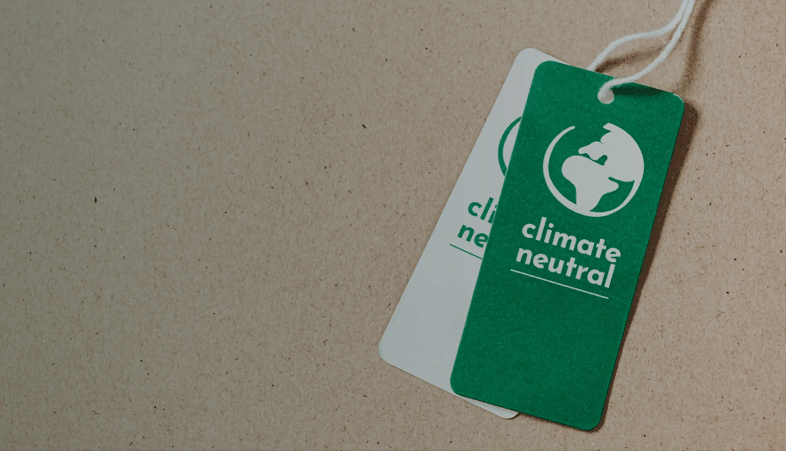 Directive (EU) 2024/825 on Greenwashing: everything you need to know in 2026