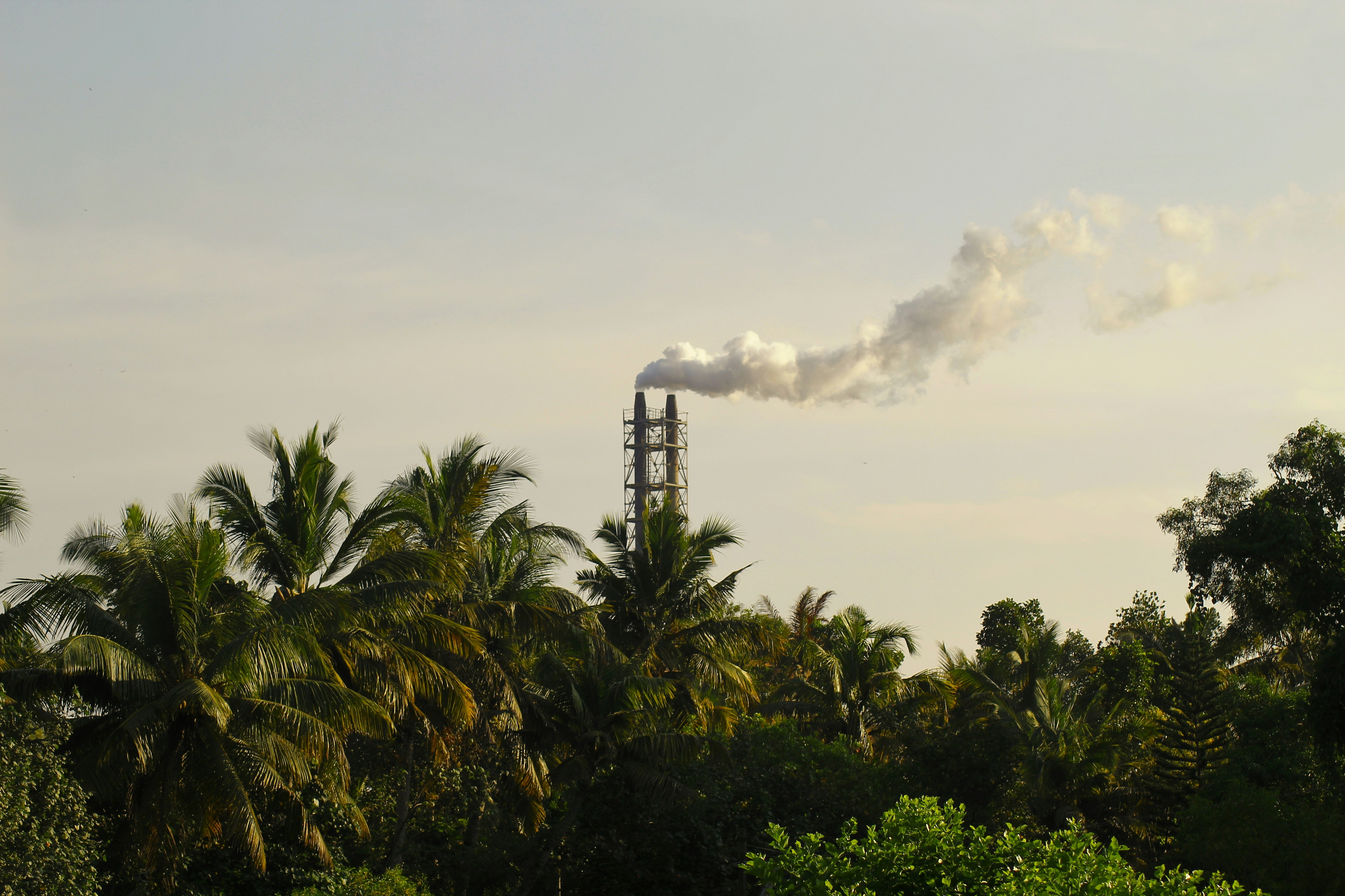 impatto-ambientale-blog-green-future-project
